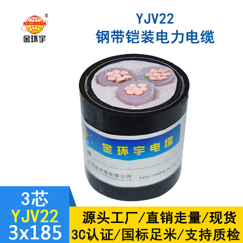 金環(huán)宇 鎧裝電纜YJV22 3