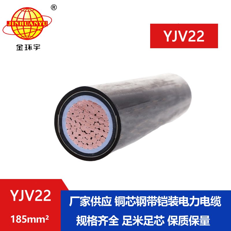 金環(huán)宇電線電纜 深圳鎧裝電纜廠 yjv22電纜 YJV22