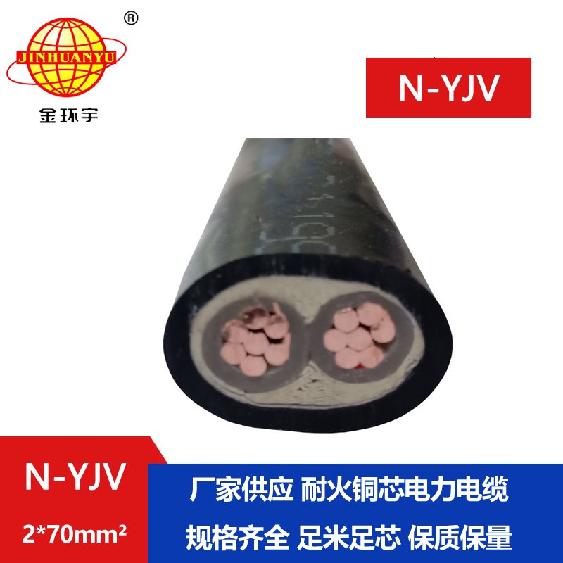 金環(huán)宇 銅芯電纜 N-YJV 2X70平方 2芯電纜 耐火電力